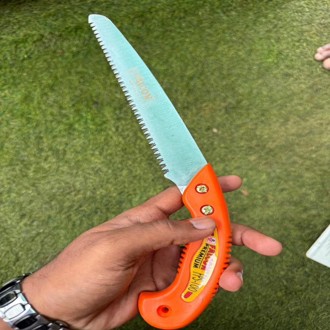 Pruning Saw