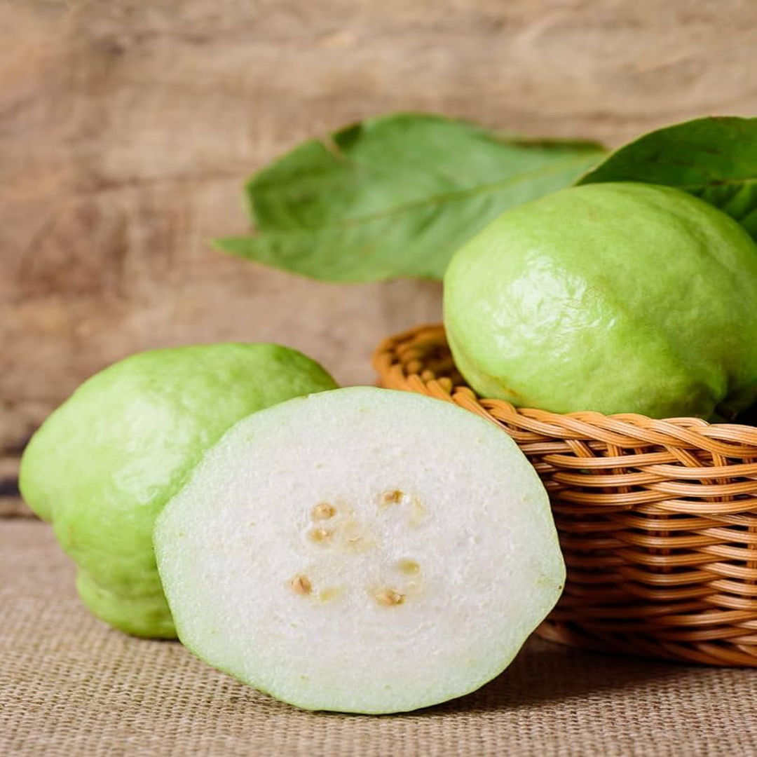 L49 Guava